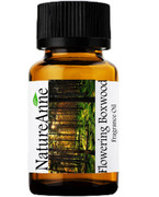 Flowering Boxwood Premium Grade Fragrance Oil  - 10ml 