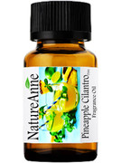 Pineapple Cilantro (Type) Premium Grade Fragrance Oil  - 10ml 