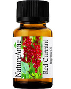 Red Currant Premium Grade Fragrance Oil  - 10ml 