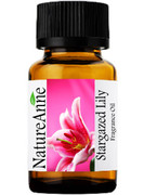 Stargazer Lily  Premium Grade Fragrance Oil  - 10ml 