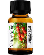 Tomato Leaf  Premium Grade Fragrance Oil  - 10ml 