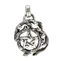 Sterling Silver Small Tree Branch Pentacle of Nature Pagan Druid Pendant Jewelry
