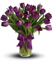 Passionate Purple Tulips