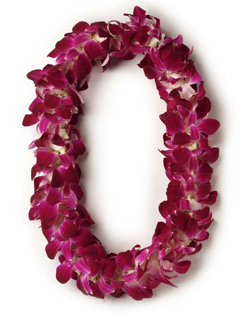 Two 2 Double Dendrobium Orchid Leis Br Pre Order Clarence Walker Florist Two 2 Double Dendrobium Orchid Leis Br Pre Order Clarence Walker Florist