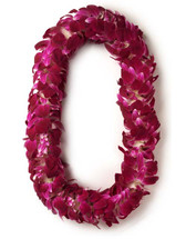 One (1) Deluxe Dendrobium Orchid Lei