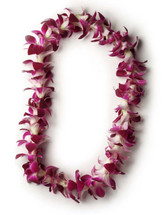 One (1) Single Dendrobium Orchid Leis
