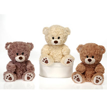 9.5" Sitting Paw Print Bear in 3 Assorted Colors