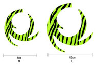 Pacchiarini's Dragon Tails