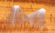 Barred Mayfly Tail