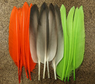 Duck Quills