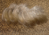 Lemon Wood Duck Flanks 12 Select Feathers