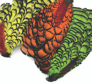 Lady Amherst Pheasant Complete Necks