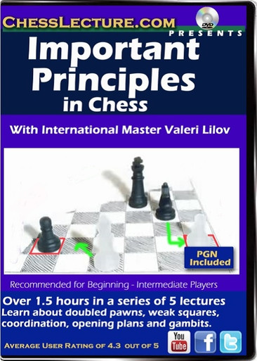 Important Principles in Chess Front Cover