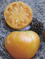 Oxheart Orange Heirloom Tomato