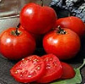 Crimson Sprinter Tomato