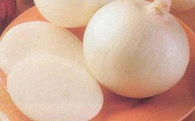 Onion Sweet Spanish White