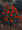 Nasturtium Tropaoleum Empress Of India