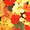 Nasturtium  Whirlybird Series Mix