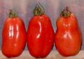 Napoli Heirloom Tomato