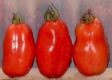 Napoli Heirloom Tomato