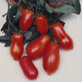 Martinos Roma Heirloom Tomato