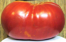 Tomato Big Zac - Six Pounders