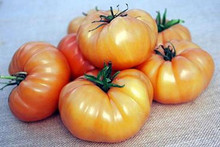 Kelloggs Breakfast Heirloom Tomato