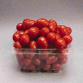 Jelly Bean Red Tomato