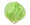 Lettuce Leaf Salad Bowl Green