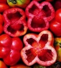 Pink Stuffer Tomato