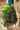 Topsy Tom Tomato Seeds