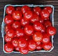 Matts Wild Cherry Tomato
