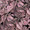 Hypoestes Confetti Series Pink