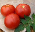 BHN-602 PL Tomato Seed