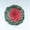 Flowering Cabbage Pigeon Series Red