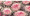 Flowering Cabbage Osaka Series Pink