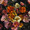 Eschscholzia California Poppy Mission Bells