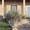 Ornamental Grass Seed - Eragrostis Elliotii Wind Dancer