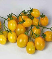 Peardrops Tomato Seed