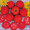 Druzba Tomato