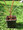 Dracaena Bronze Spike
