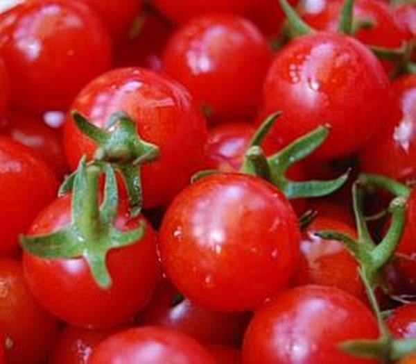 Window Box Globa Tomato Seeds