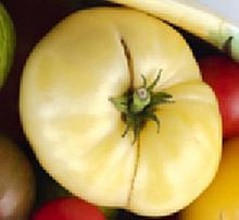 White Beefsteak Tomato