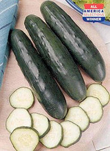 Cucumber Fanfare