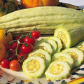 Cucumber Armenian Yard Long