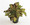 Coleus Wizard Series Mosaic