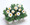 Chrysanthemum Snowland
