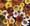 Chrysanthemum Dunnetti Double Mix