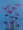 Centaurea Boy Series Blue