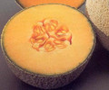 Cantaloupe Hales Best Jumbo